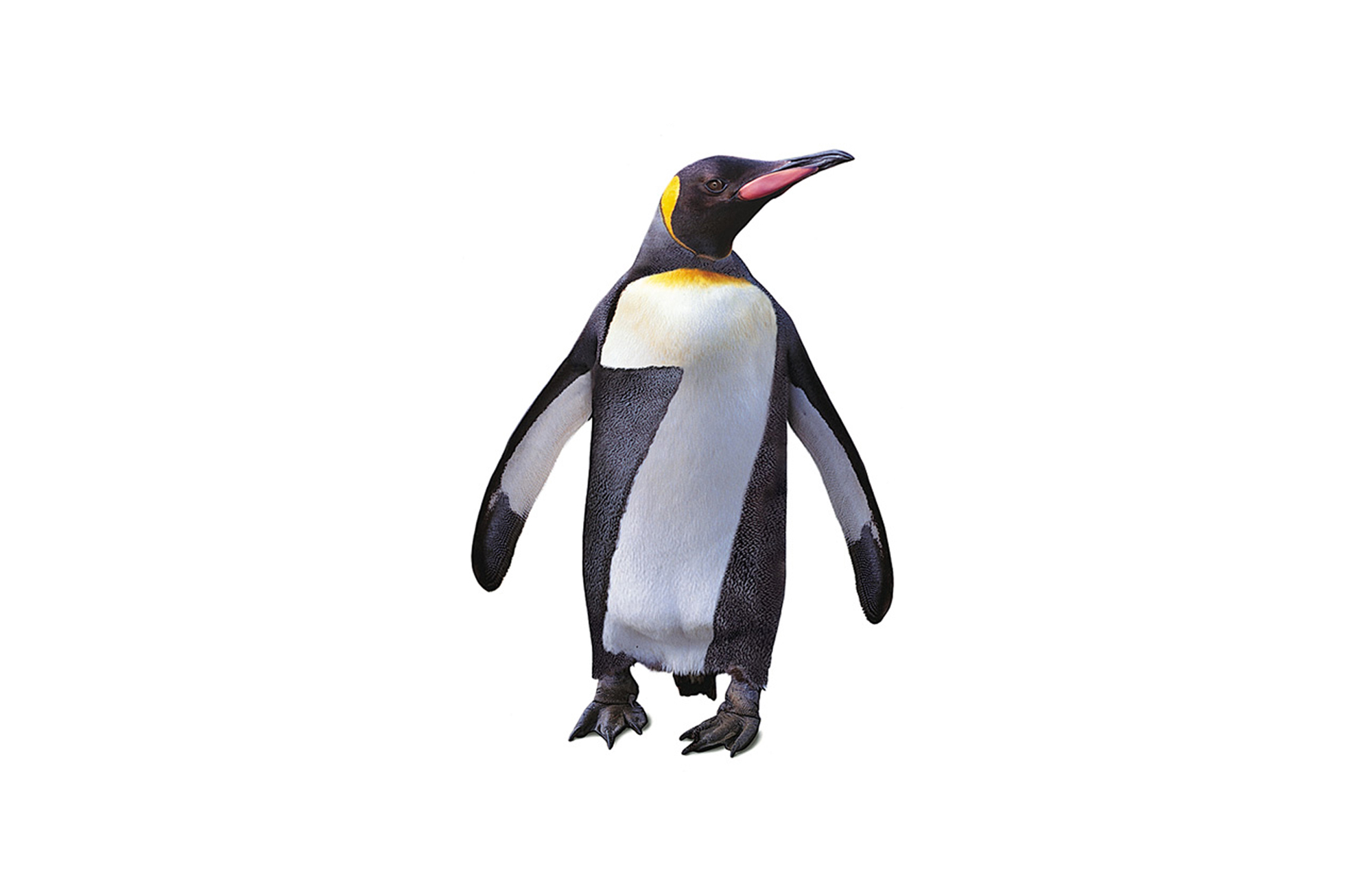 Design Planet | Seven