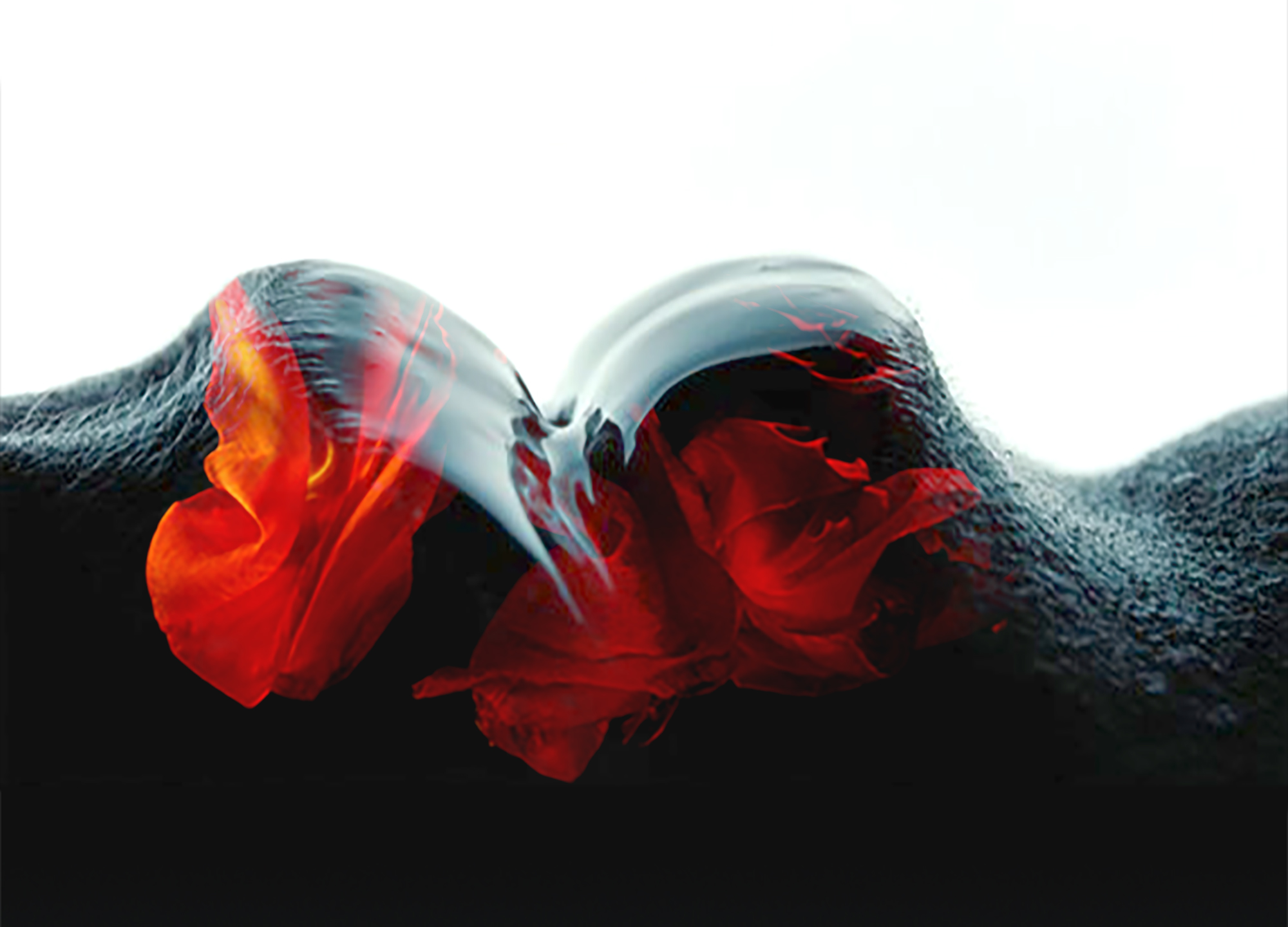 Design Planet | Symrise