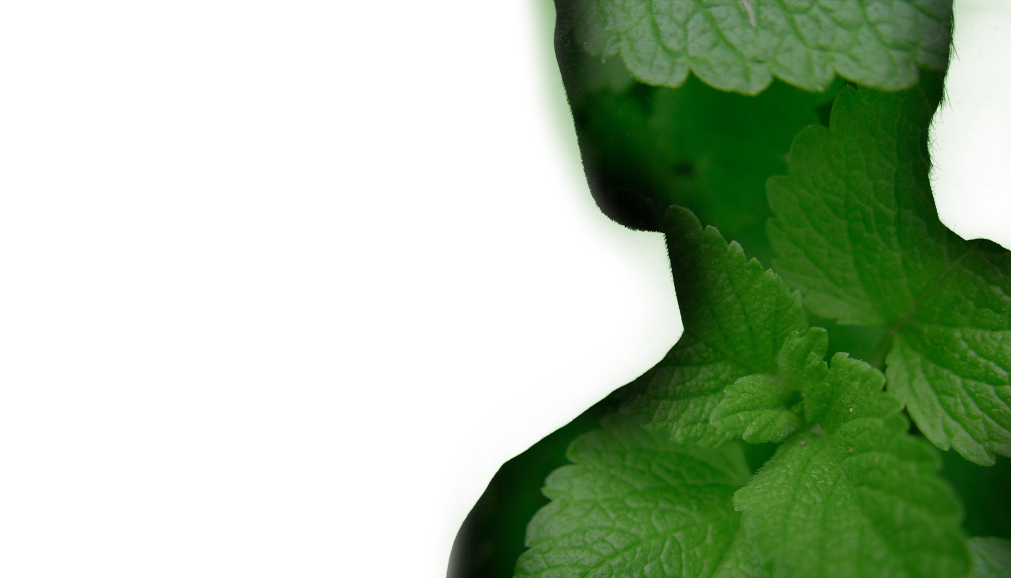 Design Planet | Symrise