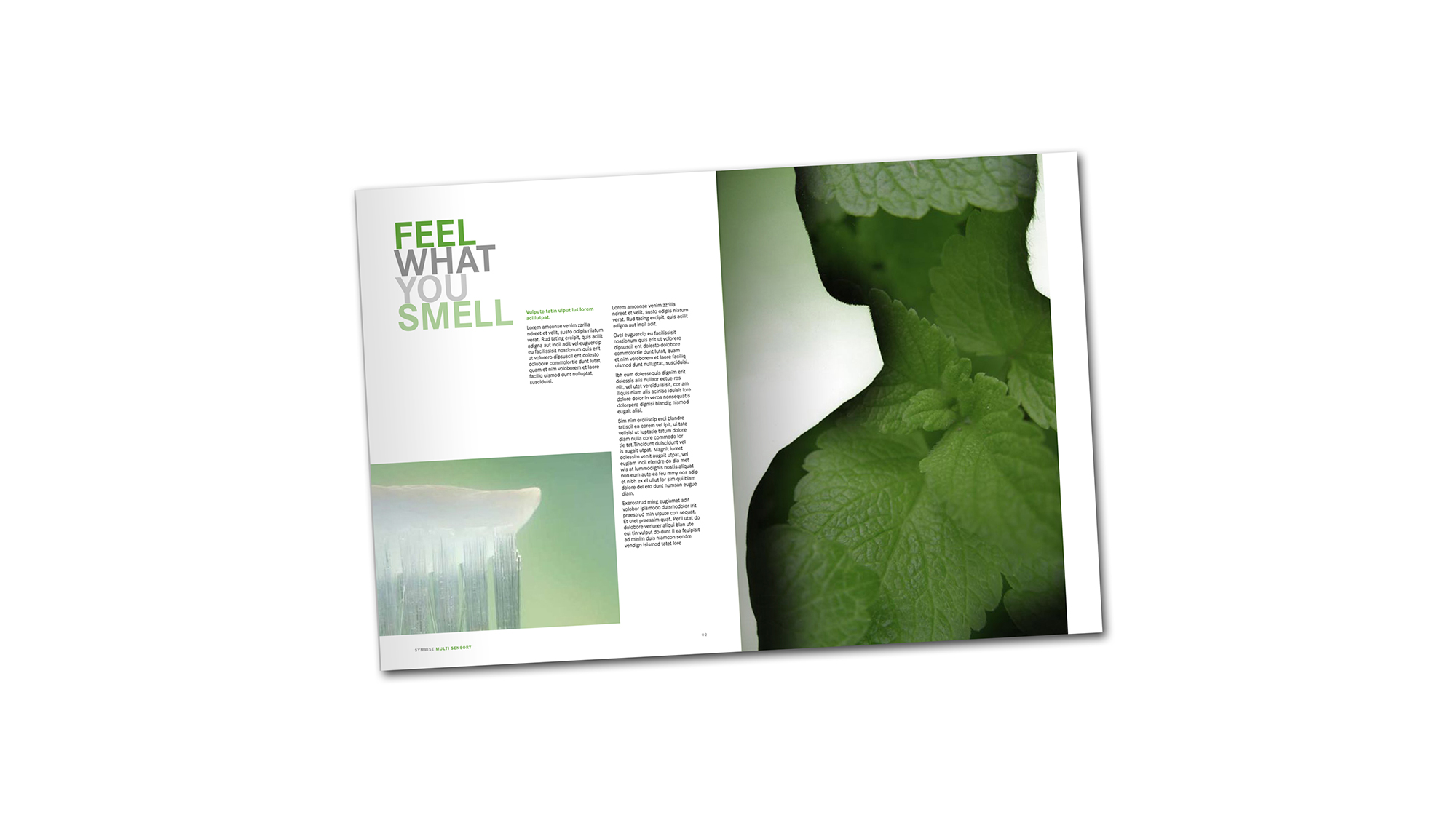 Design Planet | Symrise