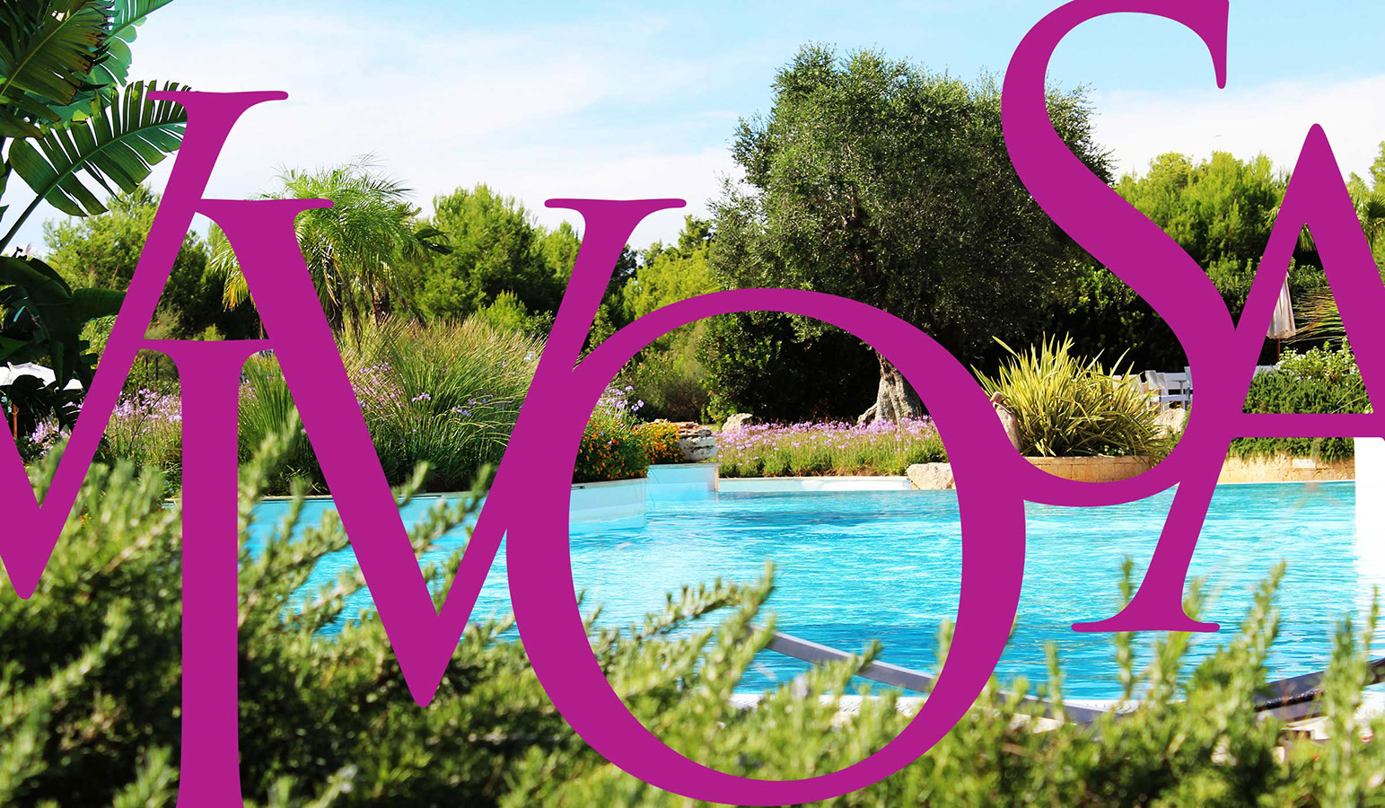 Design Planet | Vivosa