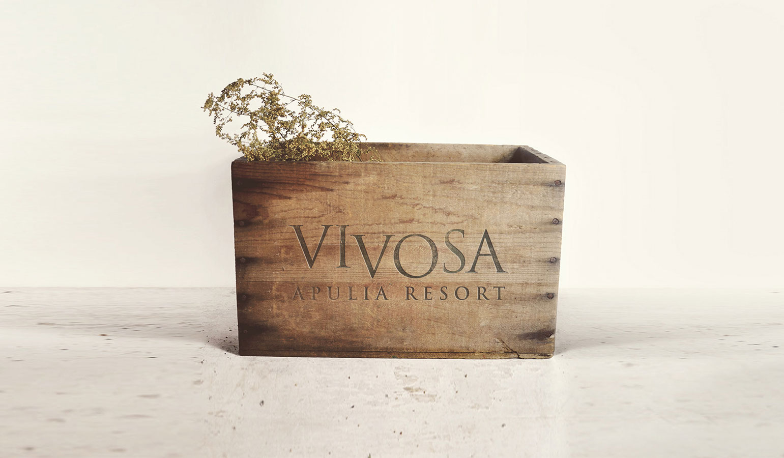 Design Planet | Vivosa